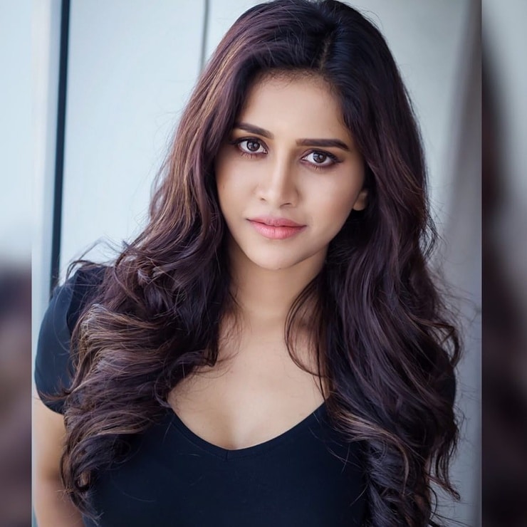 Nabha Natesh
