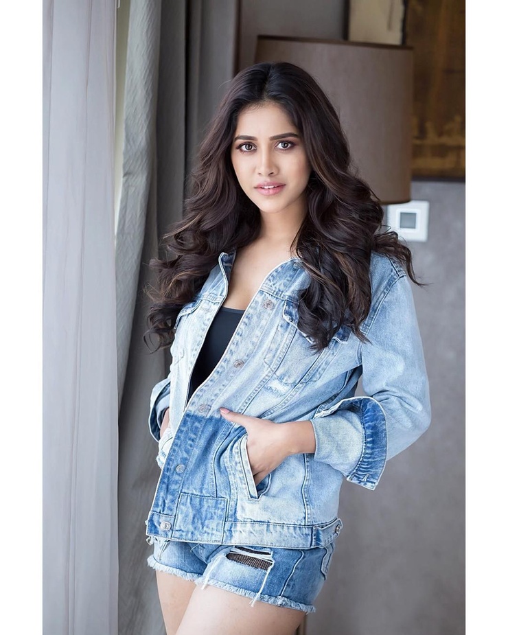 Nabha Natesh