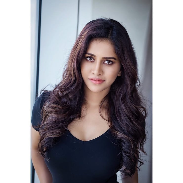 Nabha Natesh