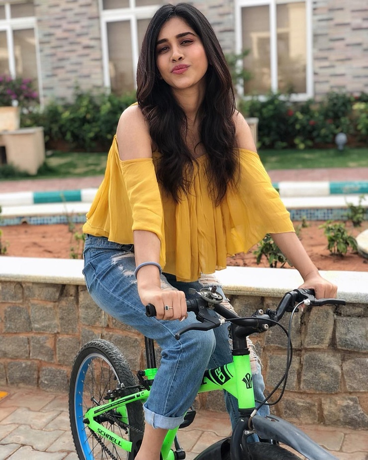Nabha Natesh