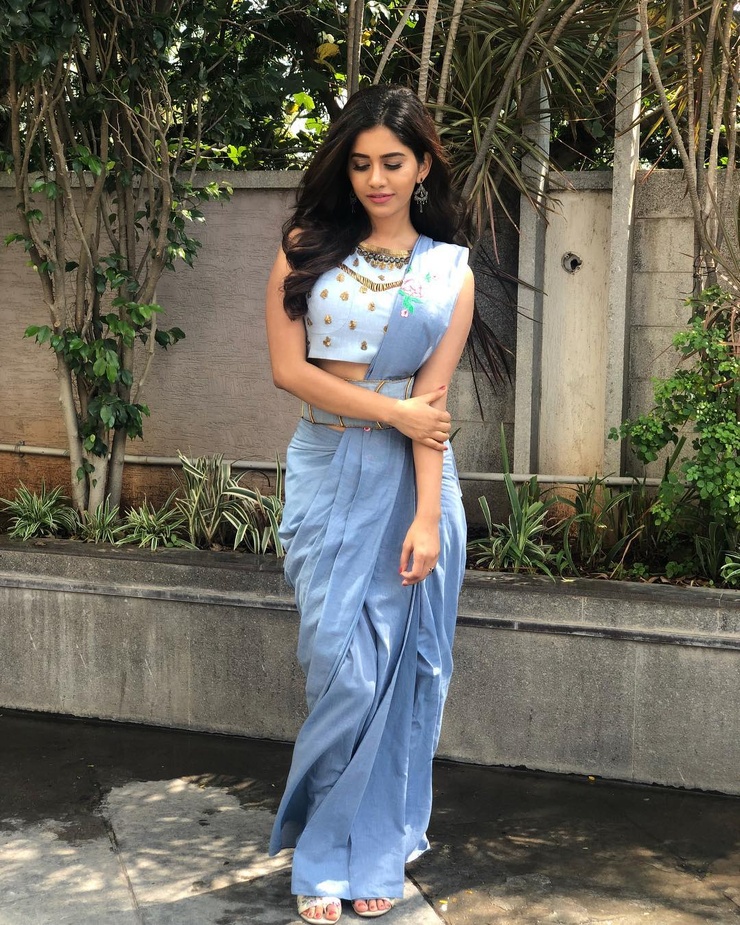 Nabha Natesh