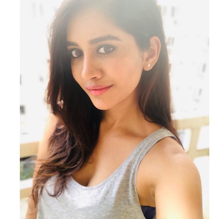 Nabha Natesh