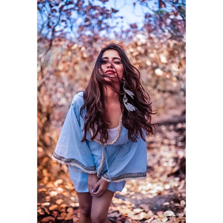 Nabha Natesh
