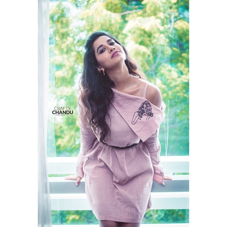 Nabha Natesh