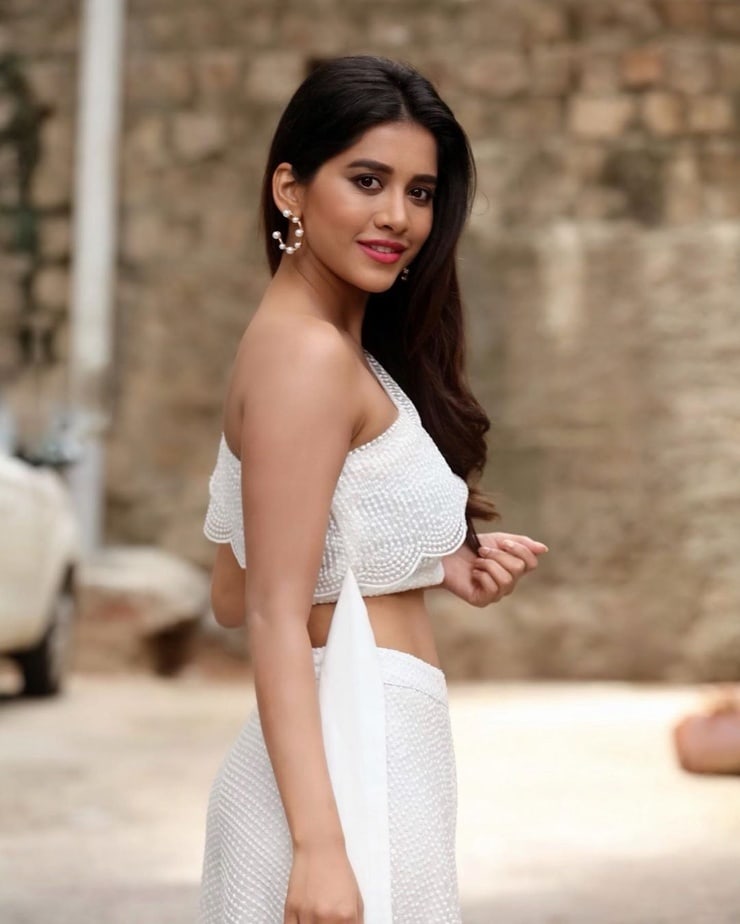 Nabha Natesh