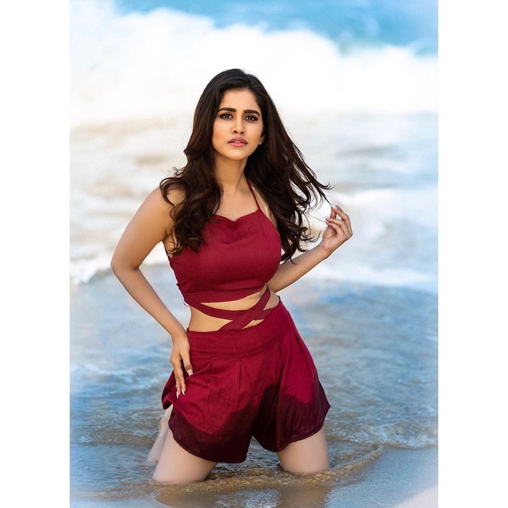 Nabha Natesh