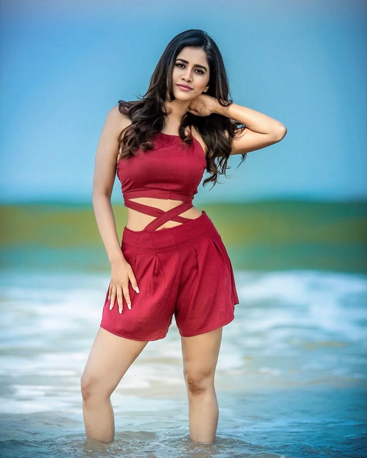 Nabha Natesh