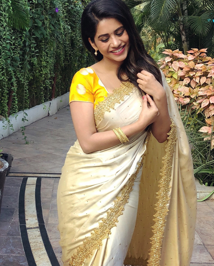 Nabha Natesh