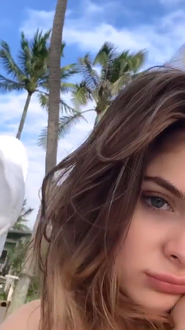 Brighton Sharbino