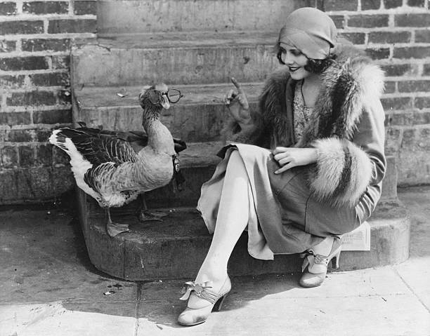 Fay Webb