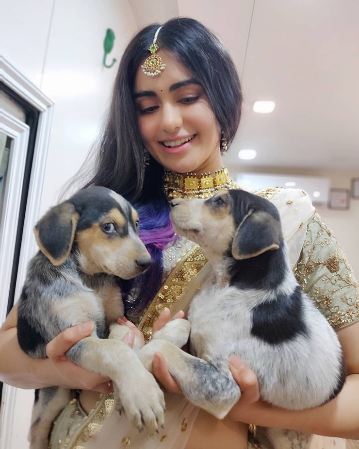 Adah Sharma
