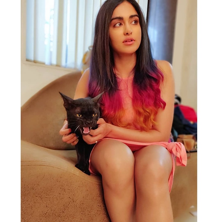 Adah Sharma