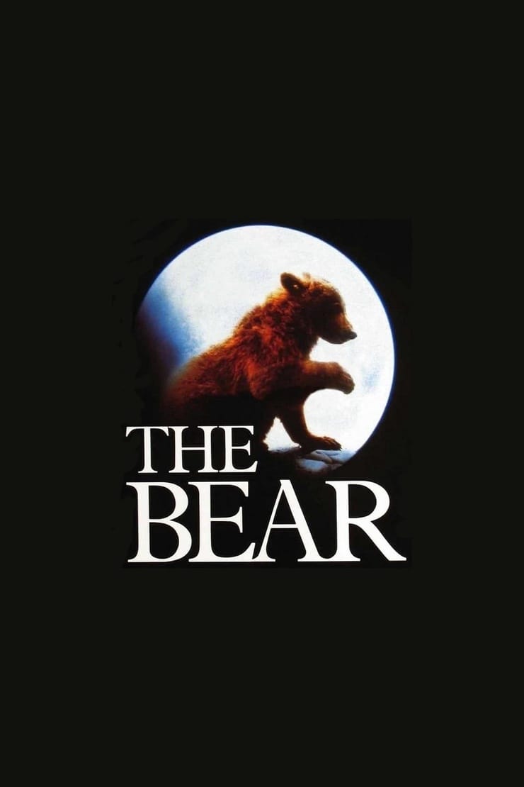 The Bear