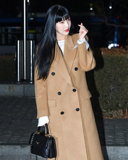 Joy (Park Soo Young)