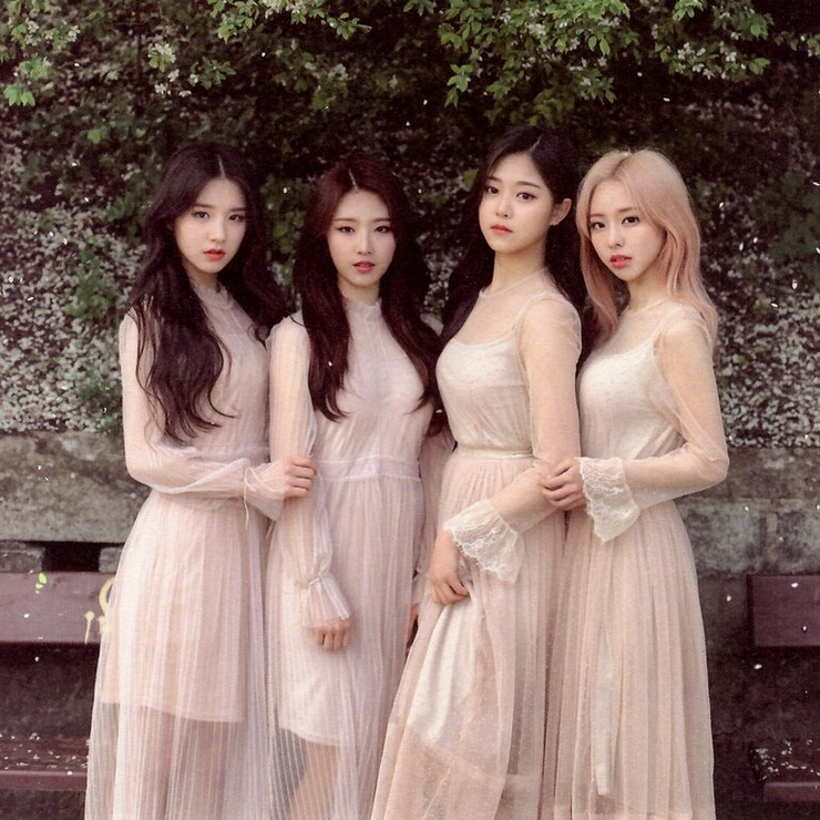Loona 1/3
