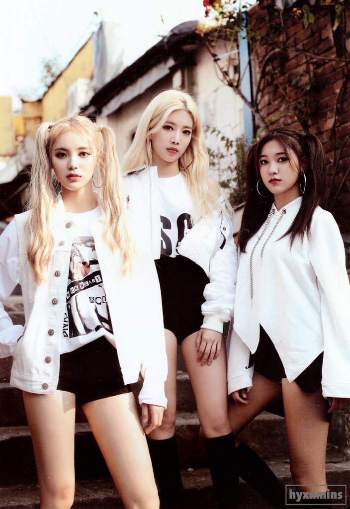 ODD EYE CIRCLE image