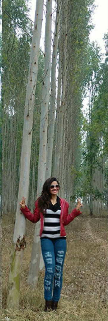 Sakshi Dwivedi