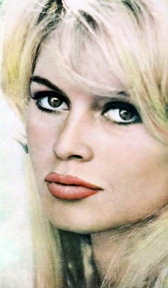 Brigitte Bardot Brigitte Bardot