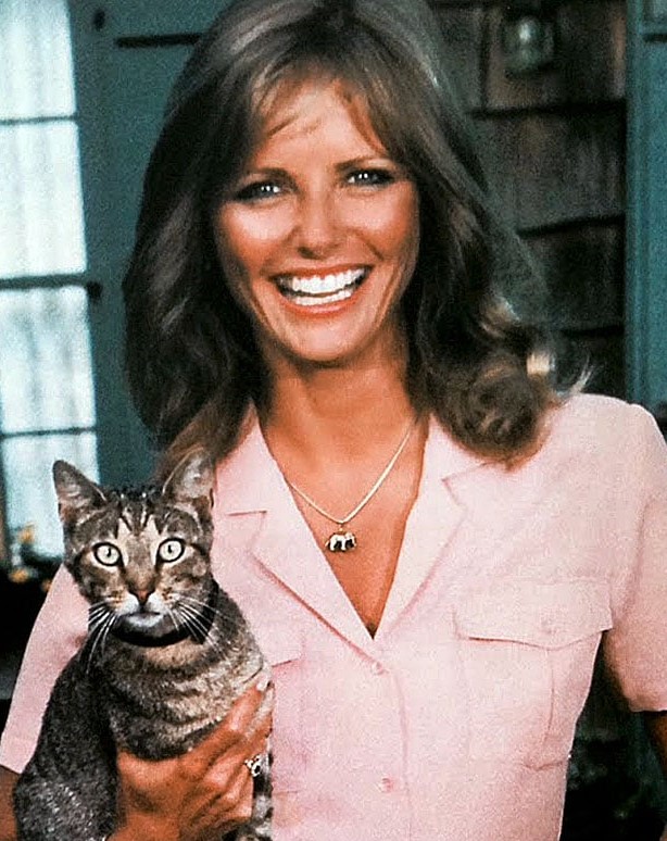 Cheryl Tiegs Cheryl Tiegs