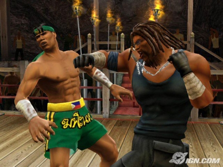 Def Jam: Fight for NY