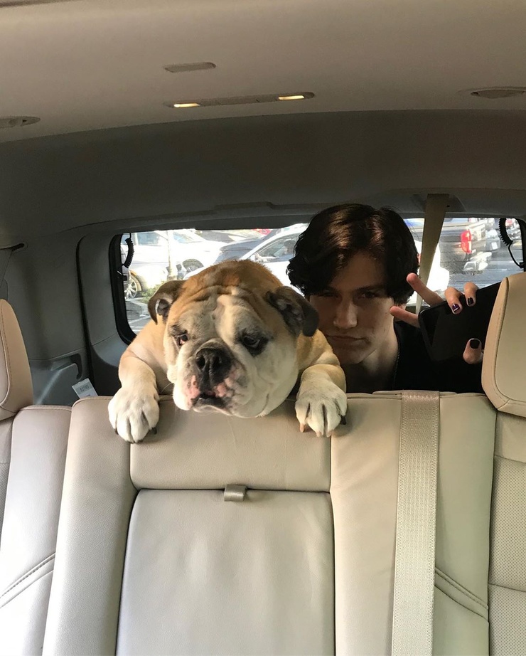 Chase Hudson