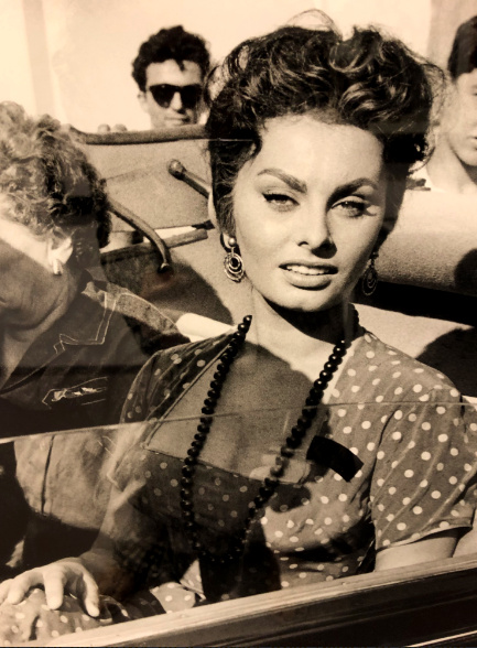 Sophia Loren Sophia Loren