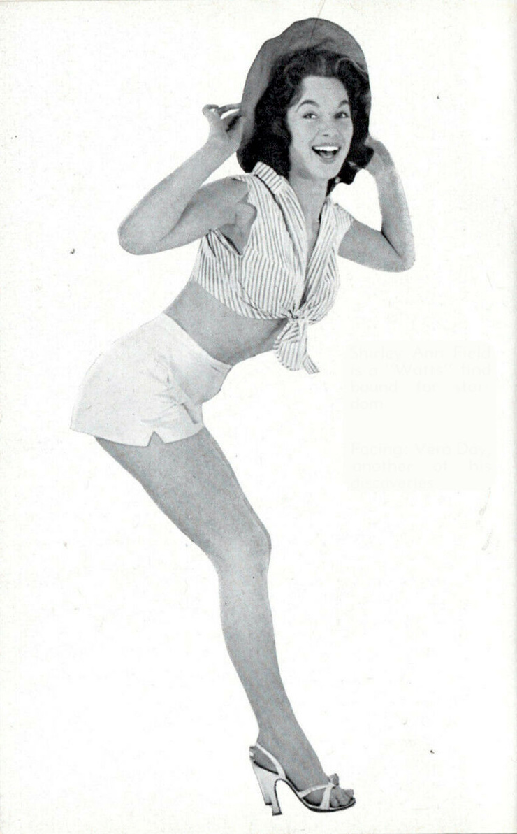 Shirley Anne Field