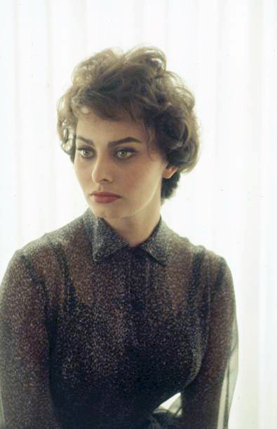 Sophia Loren Sophia Loren