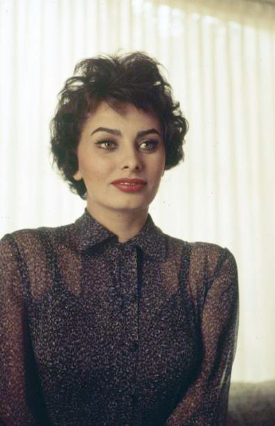 Sophia Loren Sophia Loren