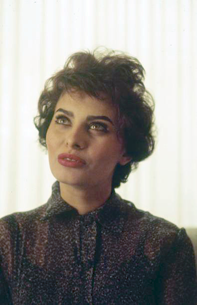 Sophia Loren Sophia Loren