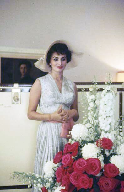 Sophia Loren Sophia Loren
