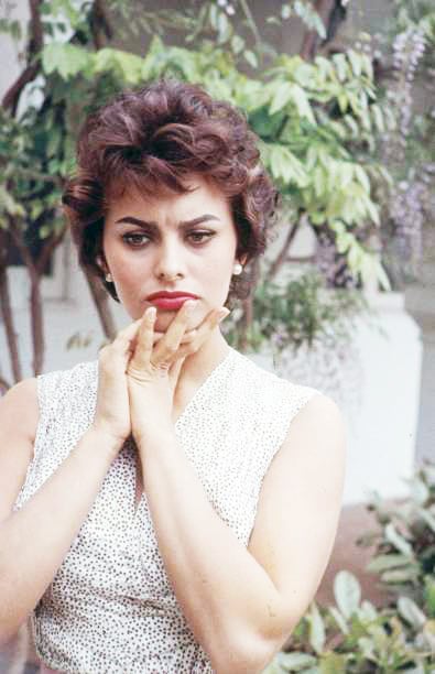 Sophia Loren