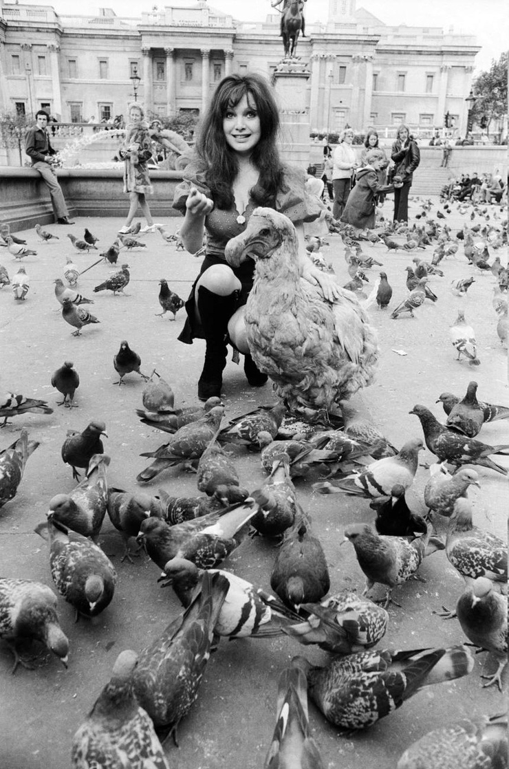 Madeline Smith