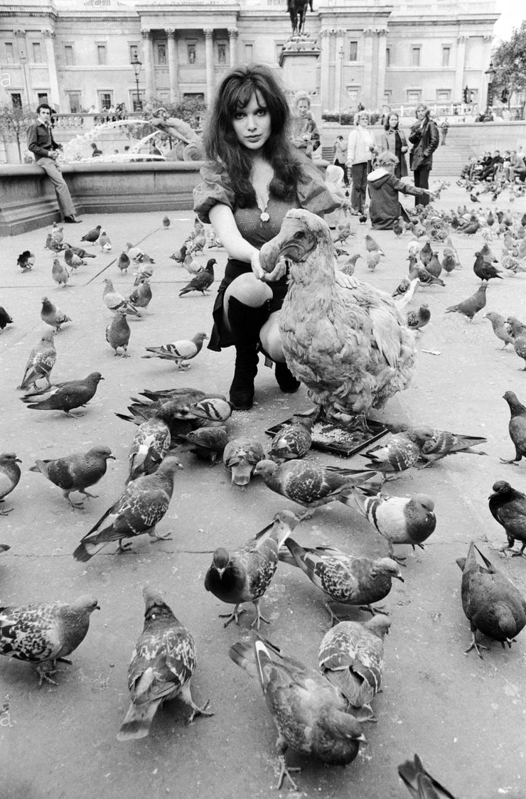 Madeline Smith