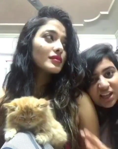 Ketika Sharma