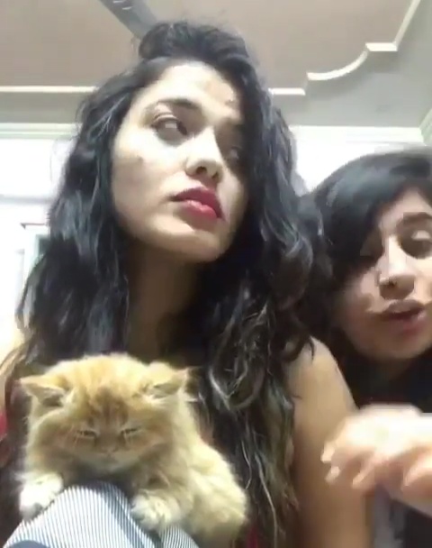Ketika Sharma