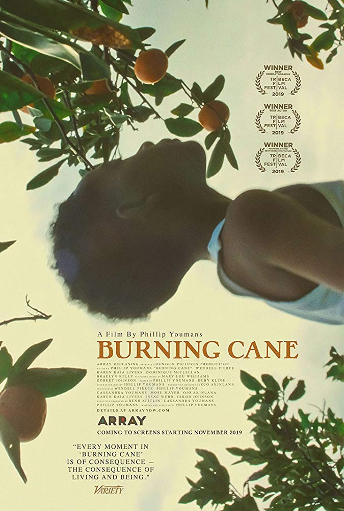 Burning Cane Burning Cane