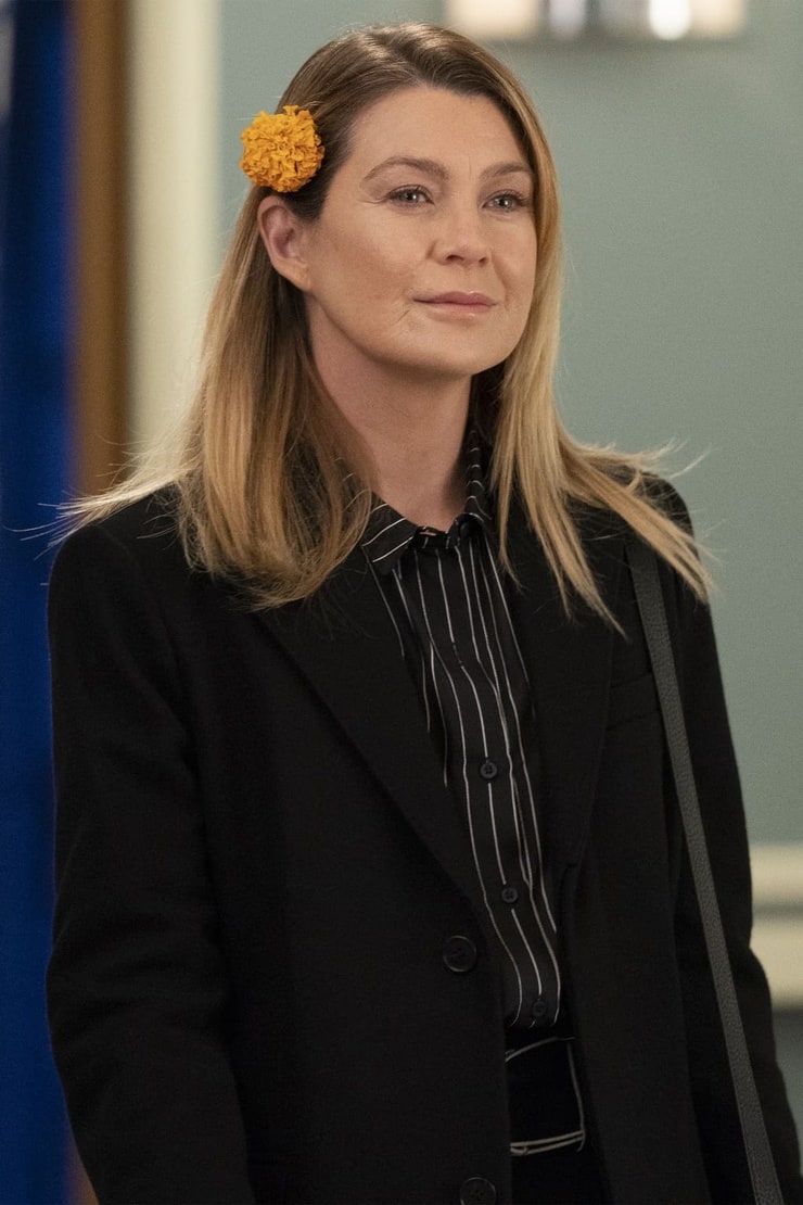 Dr. Meredith Grey