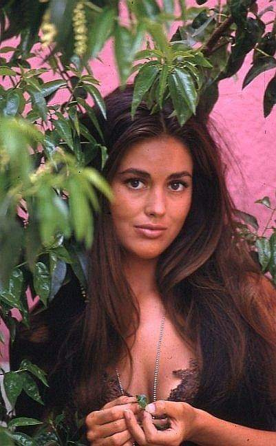 Linda Harrison