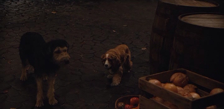 Lady and the Tramp Lady and the Tramp