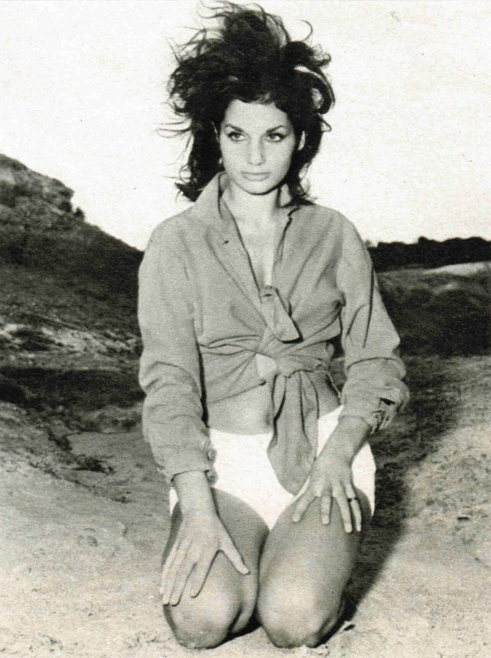 Barbara Nelli Barbara Nelli