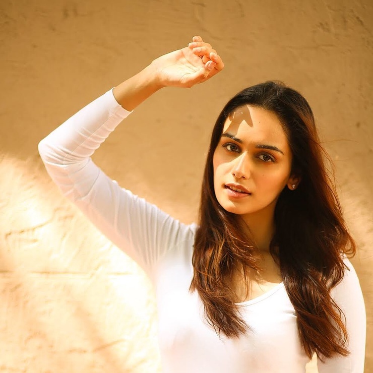 Manushi Chhillar