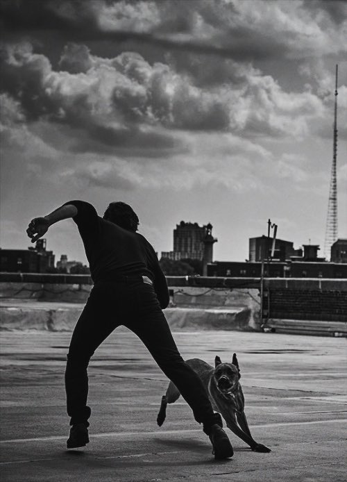 Adam Driver