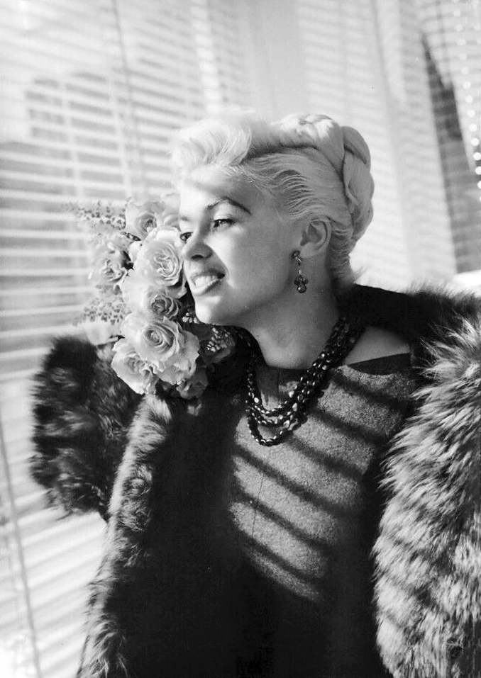 Jayne Mansfield Jayne Mansfield