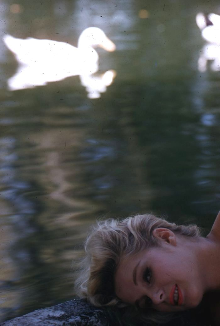 Ingrid Goude