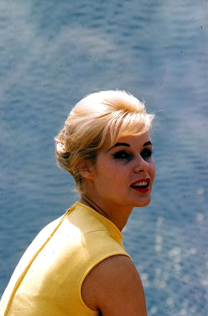 Ingrid Goude