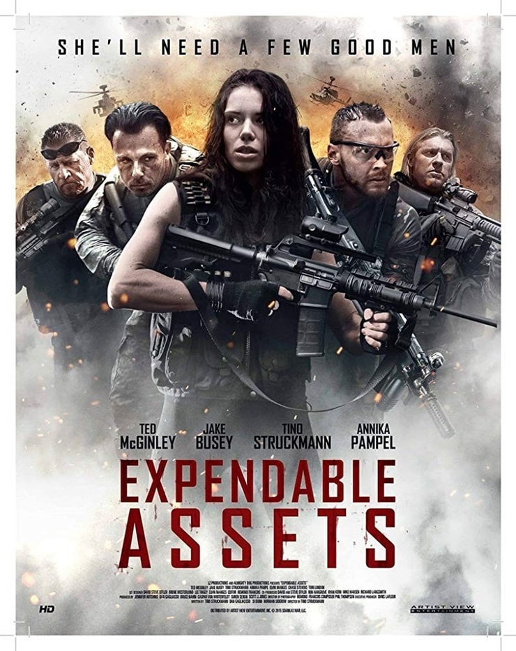 Expendable Assets