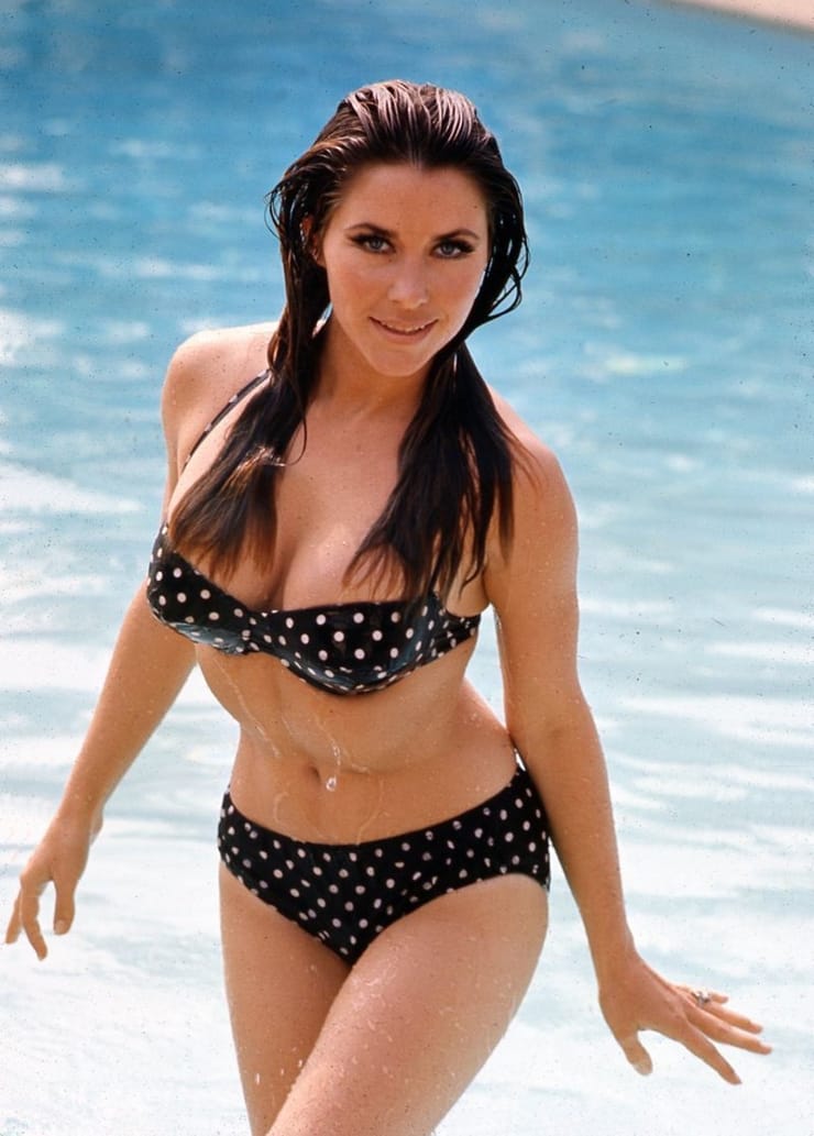 Michele Carey Michele Carey