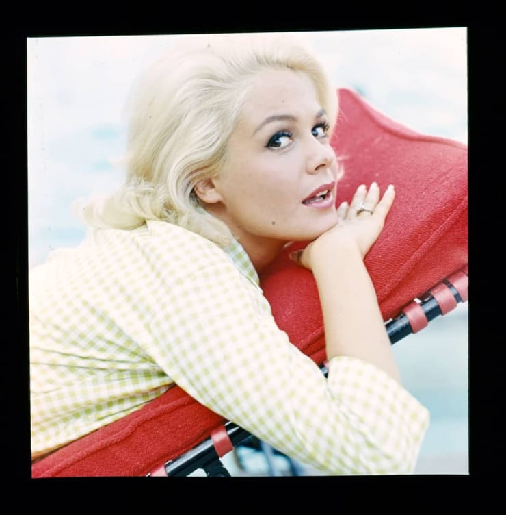 Sandra Dee