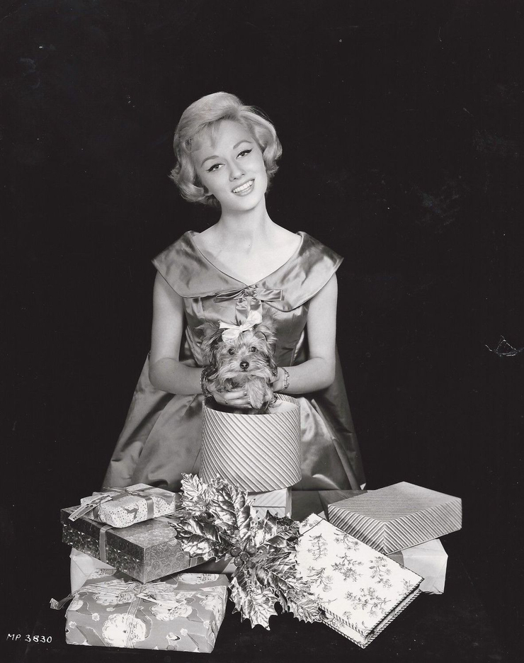 Carole Lesley